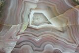 Polished Pilbara Agate Slab - Australia #95449-1